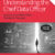 An image of the cover of Understanding the Chief Data Officer, Second Edition