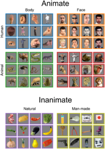 test images for neural nets